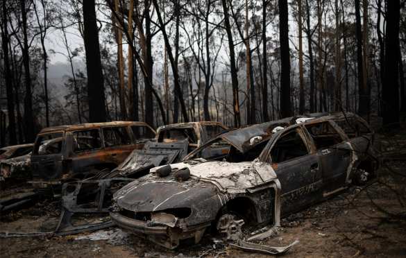 Ад на Земле: увидим ли мы снова Австралию прежней? (ФОТО, ВИДЕО) | Русская весна