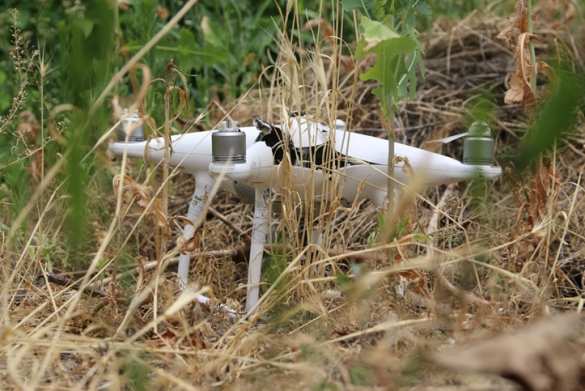 СРОЧНО: Спецгруппа ВСУ самоликвидировалась под Горловкой (ФОТО) | Русская весна