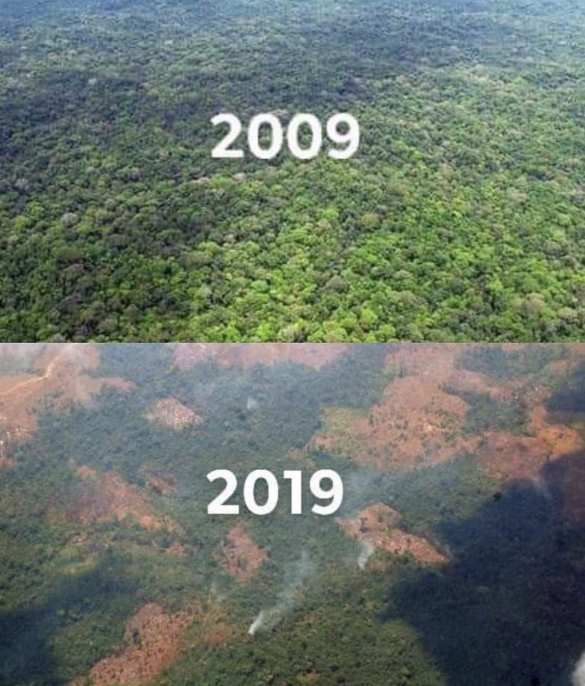 Климатический #10YearsChallenge свидетельствует о катастрофической ситуации (ФОТОЛЕНТА) | Русская весна