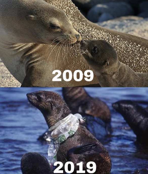 Климатический #10YearsChallenge свидетельствует о катастрофической ситуации (ФОТОЛЕНТА) | Русская весна