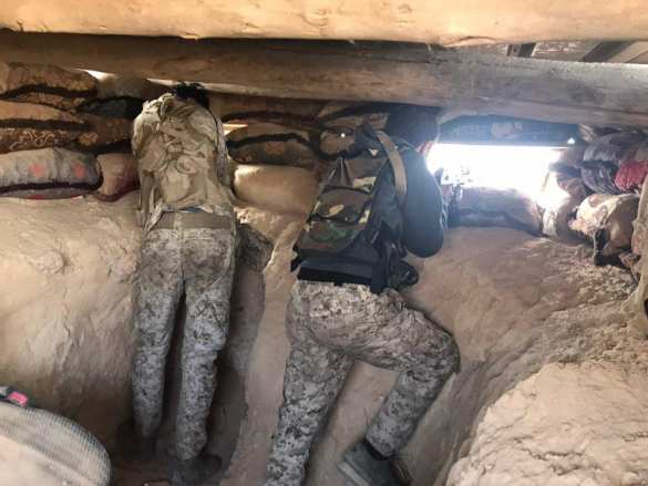 Сирия: Охота на крыс — в «зелёной пустыне» выжигают выживших боевиков (+ФОТО, ВИДЕО) | Русская весна