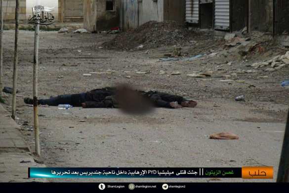 Жестокие бои в Алеппо: Турки и боевики ССА захватили один из крупнейших городов курдского Африна (ФОТО, КАРТА) | Русская весна