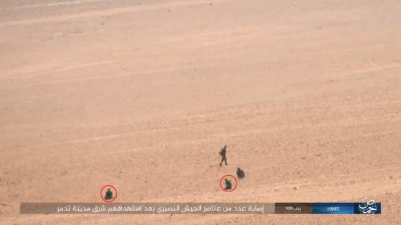 Боевые вертолеты ВКС РФ и Армия Сирии гонят ИГИЛ все дальше от Пальмиры (ФОТО, ВИДЕО) | Русская весна