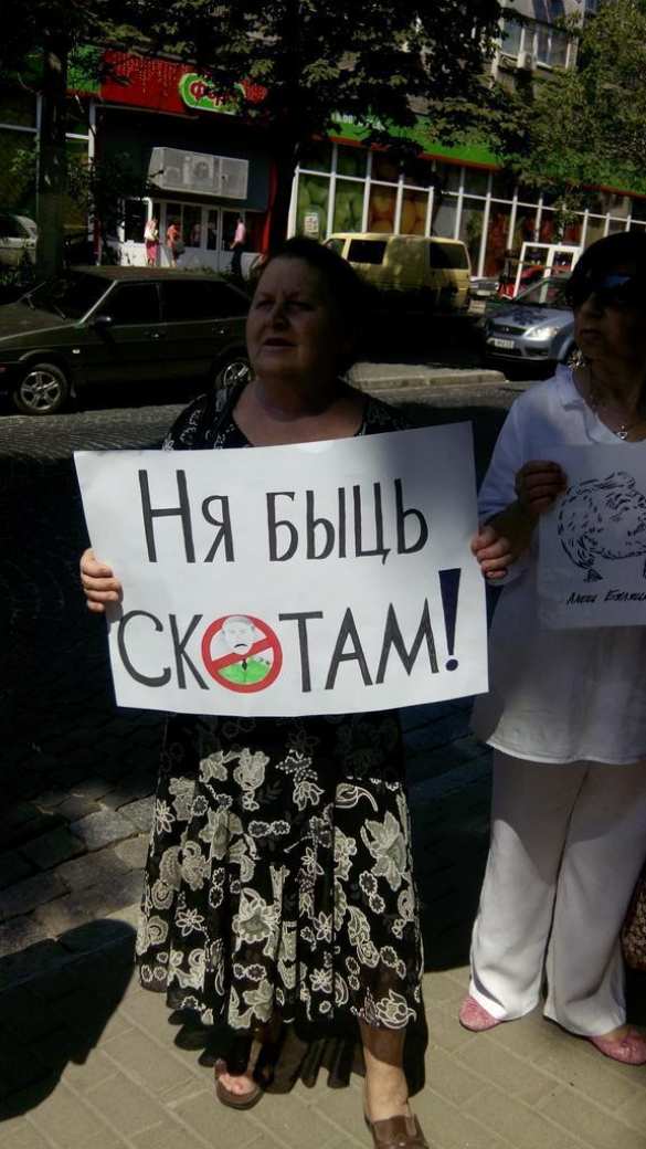 У посольства Белоруссии в Киеве отрубили голову чучелу Лукашенко (фото) | Русская весна