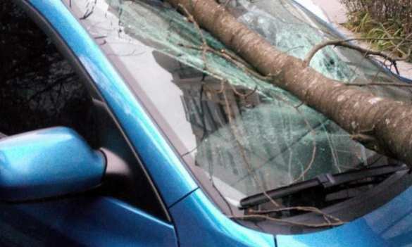 По Львовской области пронеслась буря: деревья падали на автомобили, крыши домов и железнодорожные пути (ФОТО) | Русская весна