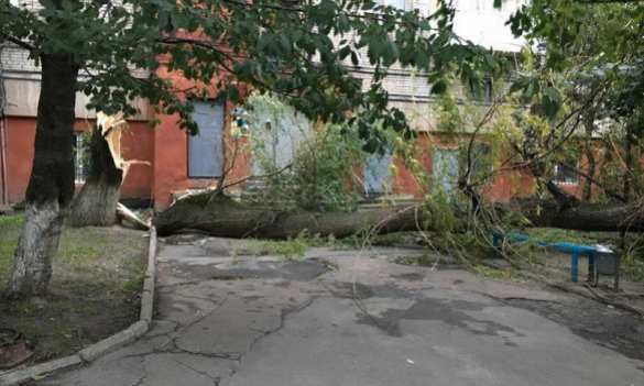По Львовской области пронеслась буря: деревья падали на автомобили, крыши домов и железнодорожные пути (ФОТО) | Русская весна