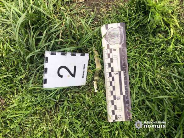 Украинец бросил гранату во двор тёщиного дома (ФОТО) | Русская весна