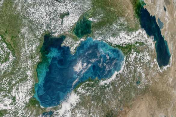 Черное море изменило цвет (ФОТО) | Русская весна