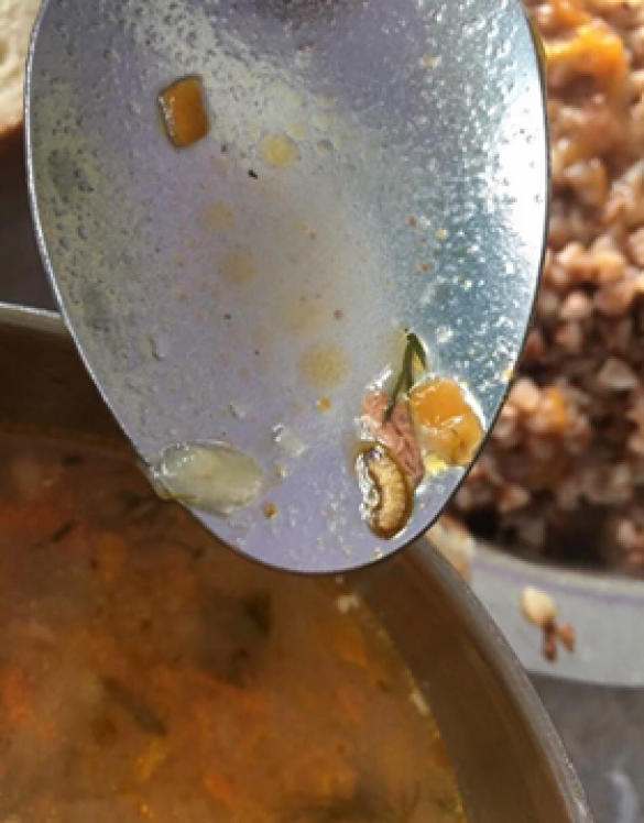 Скандал: будущих украинских военных летчиков кормили червяками и тараканами (ФОТО) | Русская весна