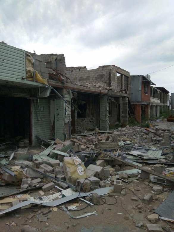 Депутаты Европарламента прибыли в прифронтовую зону в Донбассе (ФОТО) | Русская весна