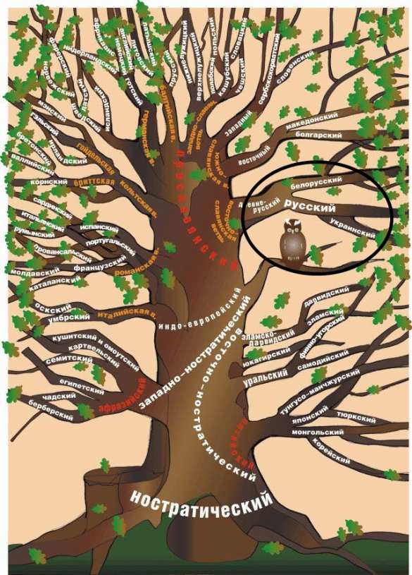 Зрада: ООН считает украинский язык «поздним ответвлением от русского» (ИНФОГРАФИКА) | Русская весна