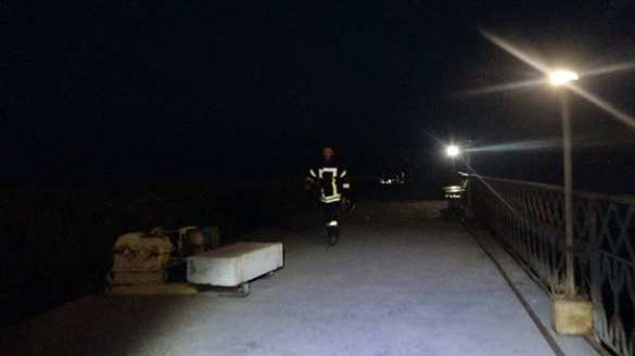 В Мариуполе на отдыхающего напала дикая свинья (ФОТО) | Русская весна