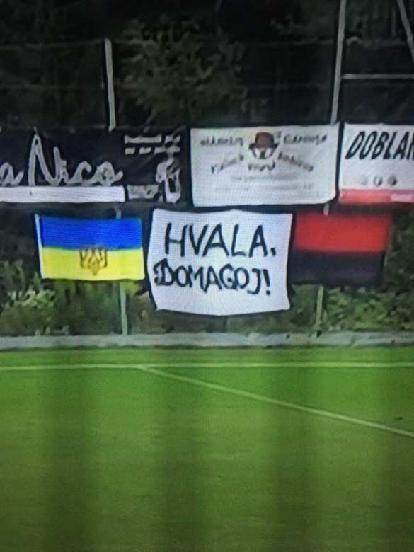 «Прошлись по краю»: СМИ Хорватии о провокации Виды (ФОТО, ВИДЕО) | Русская весна