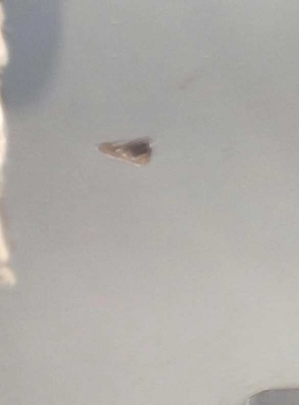 Это Украина: в Днепропетровске расстреляли трамвай (ФОТО) | Русская весна