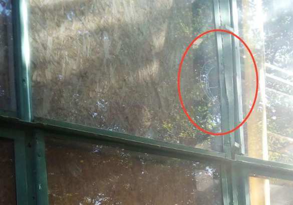 Более 700 снарядов за сутки: 120-мм мины и ракеты ВСУ обрушиваются на жителей ДНР (ФОТО) | Русская весна