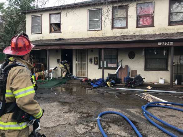 В США мужчина поджег паука и лишился дома (ФОТО, ВИДЕО) | Русская весна