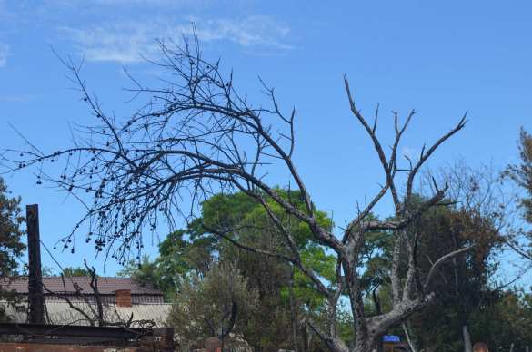 В Донецке в результате обстрела ВСУ сгорел дом и 7 автомобилей (ФОТОРЕПОРТАЖ «Русской Весны») | Русская весна