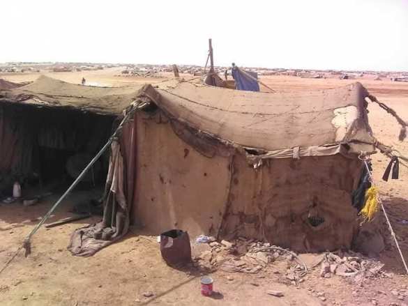 Боевики США устроили «ад» на границе Сирии (ФОТО) | Русская весна