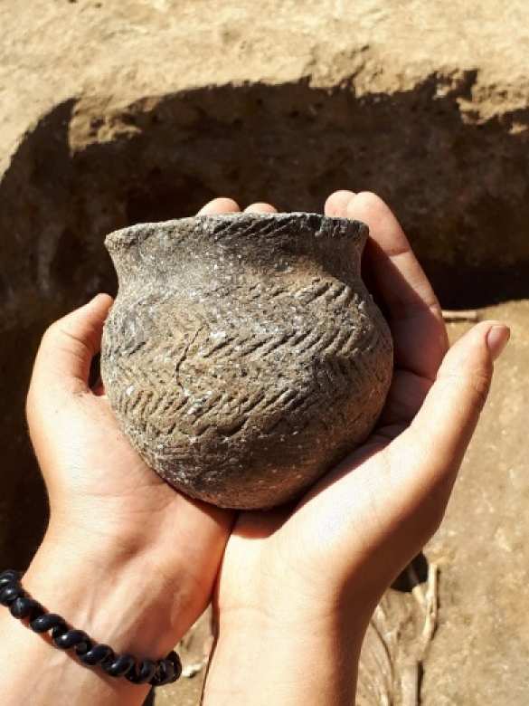 Научная сенсация: под Ростовом найдено захоронение на тысячу лет старше египетских пирамид (ФОТО) | Русская весна