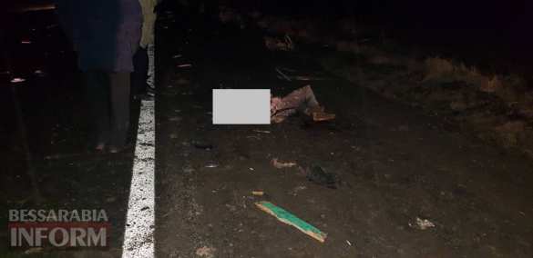 «Попал под лошадь...» — на Украине произошли два необычных ДТП (ФОТО 18+) | Русская весна