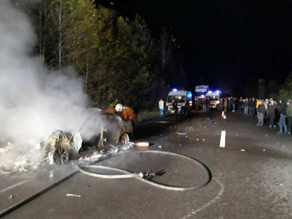 Смертельное ДТП на Западной Украине: лесовоз протаранил два автомобиля, двое погибли, один в реанимации (ФОТО) | Русская весна