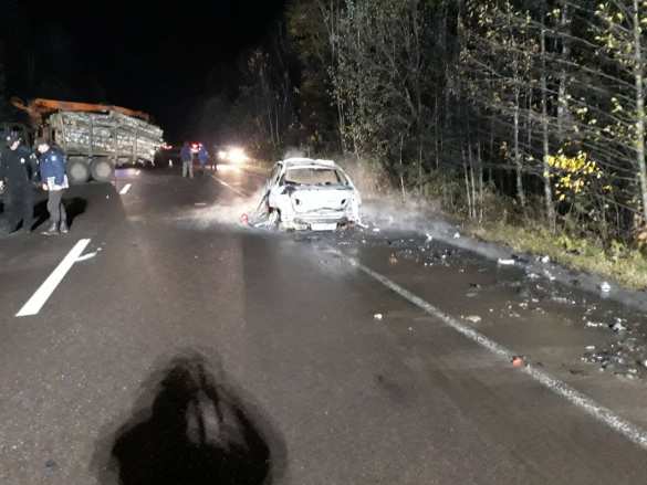 Смертельное ДТП на Западной Украине: лесовоз протаранил два автомобиля, двое погибли, один в реанимации (ФОТО) | Русская весна