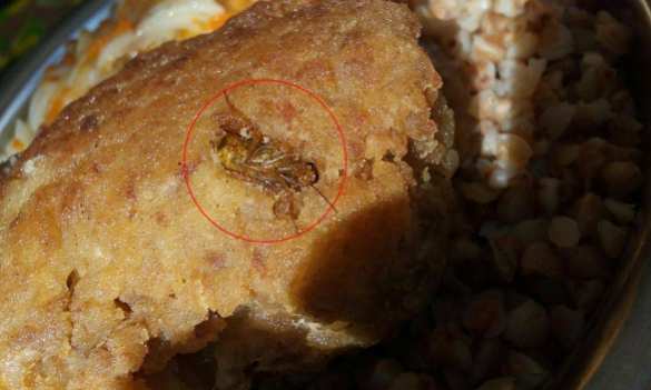 В военной части ВСУ в Николаеве массовое отравление, командование пытается скрыть факт (ФОТО) | Русская весна