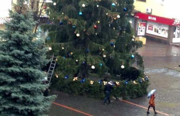 В Мукачево с главной новогодней елки похитили игрушки (ФОТО) | Русская весна