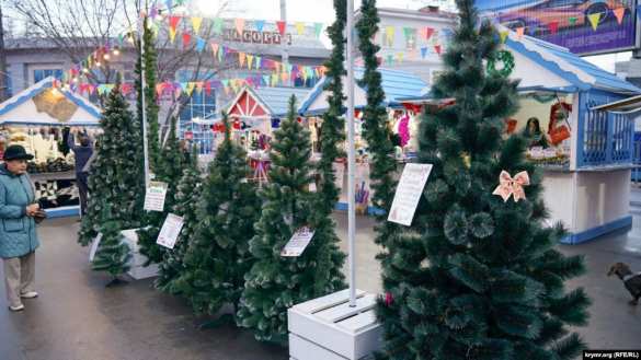 «Сенсация!» В Киеве ликуют — в Крыму ёлки из Карпат (ФОТО) | Русская весна