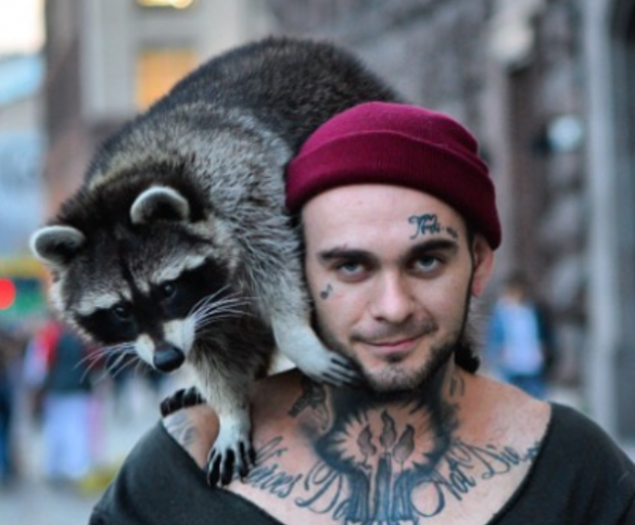 Дикая Украина: киевского рэпера ударили ножом в лицо, его енота избили ногами (ФОТО) | Русская весна