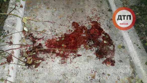 Это Украина: стрельба в центре Киева, двое пострадавших в реанимации (+ФОТО, ВИДЕО) | Русская весна