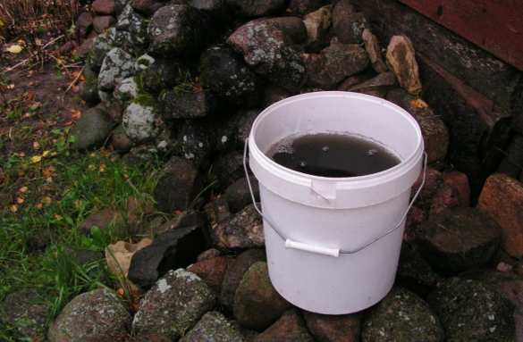 Знаки? В Эстонии прошел черный дождь (ФОТО) | Русская весна