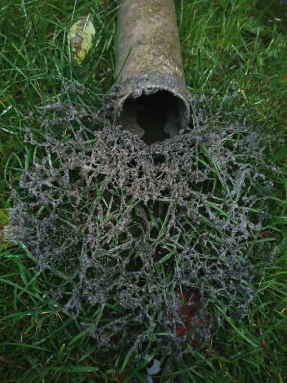 Знаки? В Эстонии прошел черный дождь (ФОТО) | Русская весна