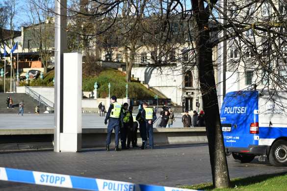 В Эстонии полицейские застрелили мужчину, бросавшегося на прохожих с ножами (ФОТО) | Русская весна