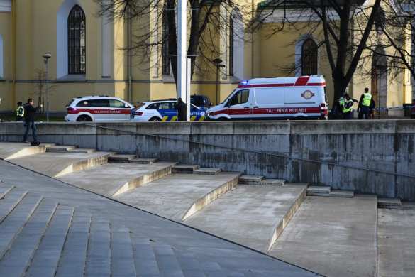 В Эстонии полицейские застрелили мужчину, бросавшегося на прохожих с ножами (ФОТО) | Русская весна