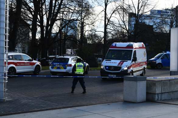 В Эстонии полицейские застрелили мужчину, бросавшегося на прохожих с ножами (ФОТО) | Русская весна