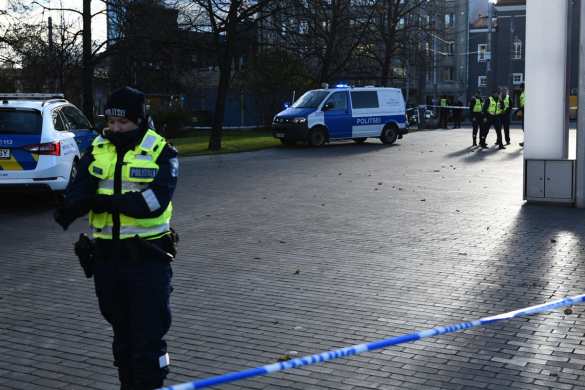 В Эстонии полицейские застрелили мужчину, бросавшегося на прохожих с ножами (ФОТО) | Русская весна