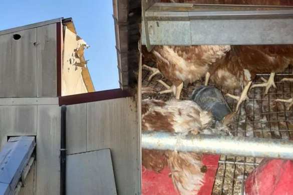 В Италии военные обстреляли населённый пункт, уничтожив ферму (+ФОТО) | Русская весна