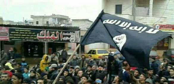 Майдан в Сирии: «оппозиция» поднимает флаги ИГИЛ (ФОТО, ВИДЕО) | Русская весна