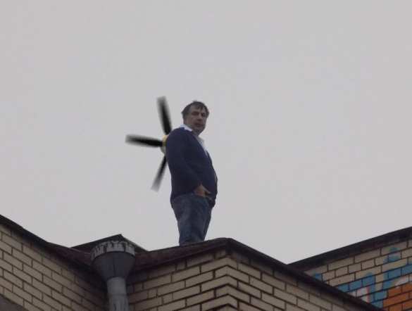 «Михо, который шалит на крыше»: в Сети смеются над Саакашвили (ФОТОЖАБЫ) | Русская весна