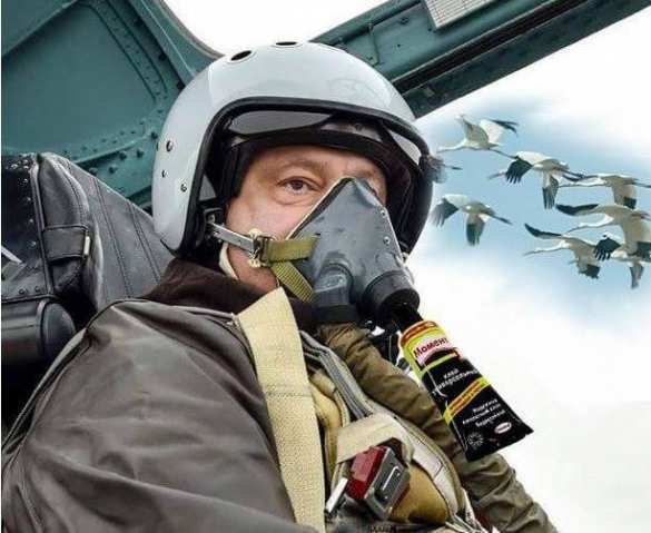 Порошенко на истребителе стал объектом шуток в сети (ФОТО)  | Русская весна