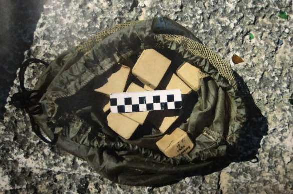 ФСБ задержала в Крыму украинского боевика, готовившего теракты (ФОТО, ВИДЕО) | Русская весна