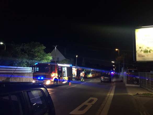 В Германии мужчина с топором напал на пассажиров поезда, ранен 21 человек (+ФОТО) | Русская весна