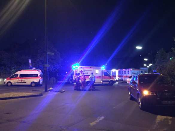 В Германии мужчина с топором напал на пассажиров поезда, ранен 21 человек (+ФОТО) | Русская весна