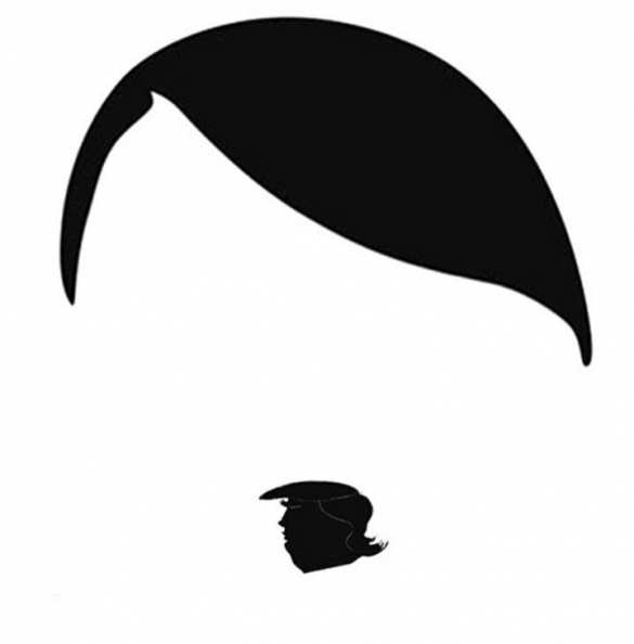 В столкновениях в Шарлоттсвилле обвинили Трампа | Русская весна