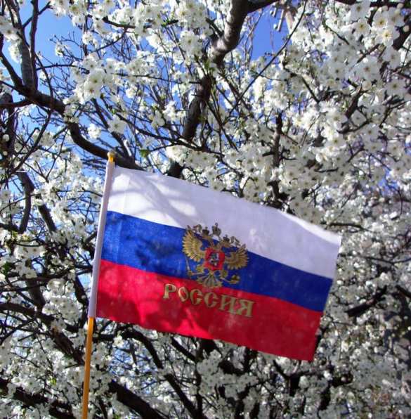 «Крымчане поставили на карту всё...» (ФОТО) | Русская весна