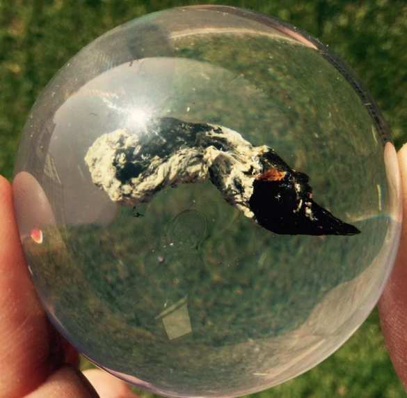 Их нравы: Национальный музей фекалий открылся в Великобритании (ФОТО) | Русская весна