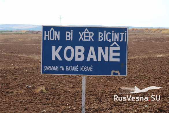 Забросав камнями американцев: как пехота Коалиции США встречает российских военных (+ВИДЕО, ФОТО) | Русская весна