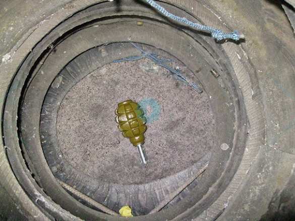 Боевую гранату бросили в полицию на Черниговщине (ФОТО) | Русская весна