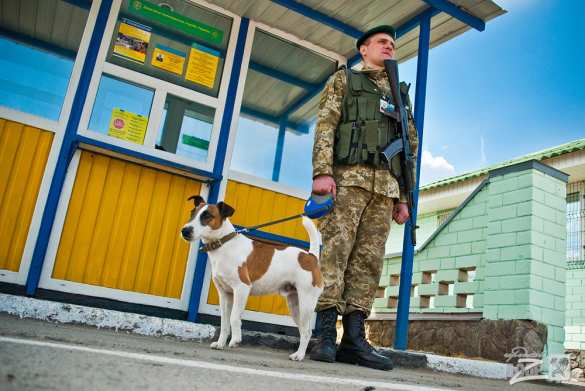 Противотанковые «ежи» и зелень в «кадках»: хваленая «Стена» на границе Украины с Россией (ФОТОЛЕНТА) | Русская весна